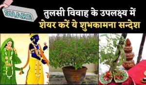 Tulsi Vivah Wishes in Hindi